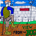 view from the bog revamp.jpg